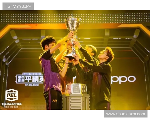 日本J1联赛冠军揭晓，赛季表现稳健的新王者引关注