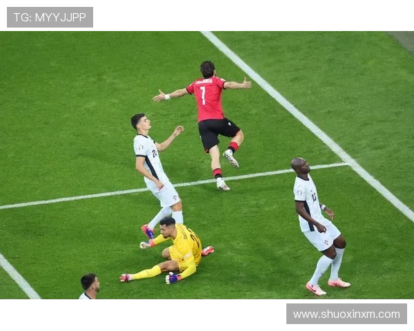 斯洛伐克2010世界杯表现回顾：首次参赛晋级十六强