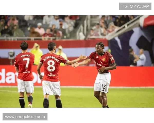 曼联重建进程存疑,实则持续修补阵容短板 曼联重建进程存疑,实则持续修补阵容短板